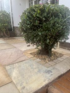 block paving sidmouth